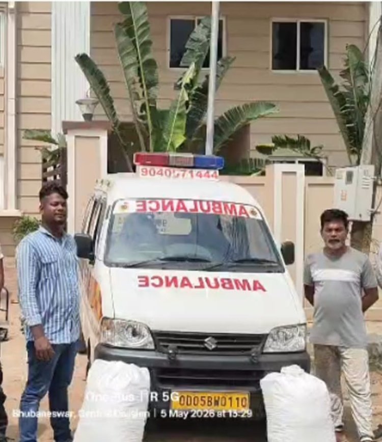 ଦିନରେ ରୋଗୀ ସେବା ରାତିରେ ଗଞ୍ଜେଇ ସେବା